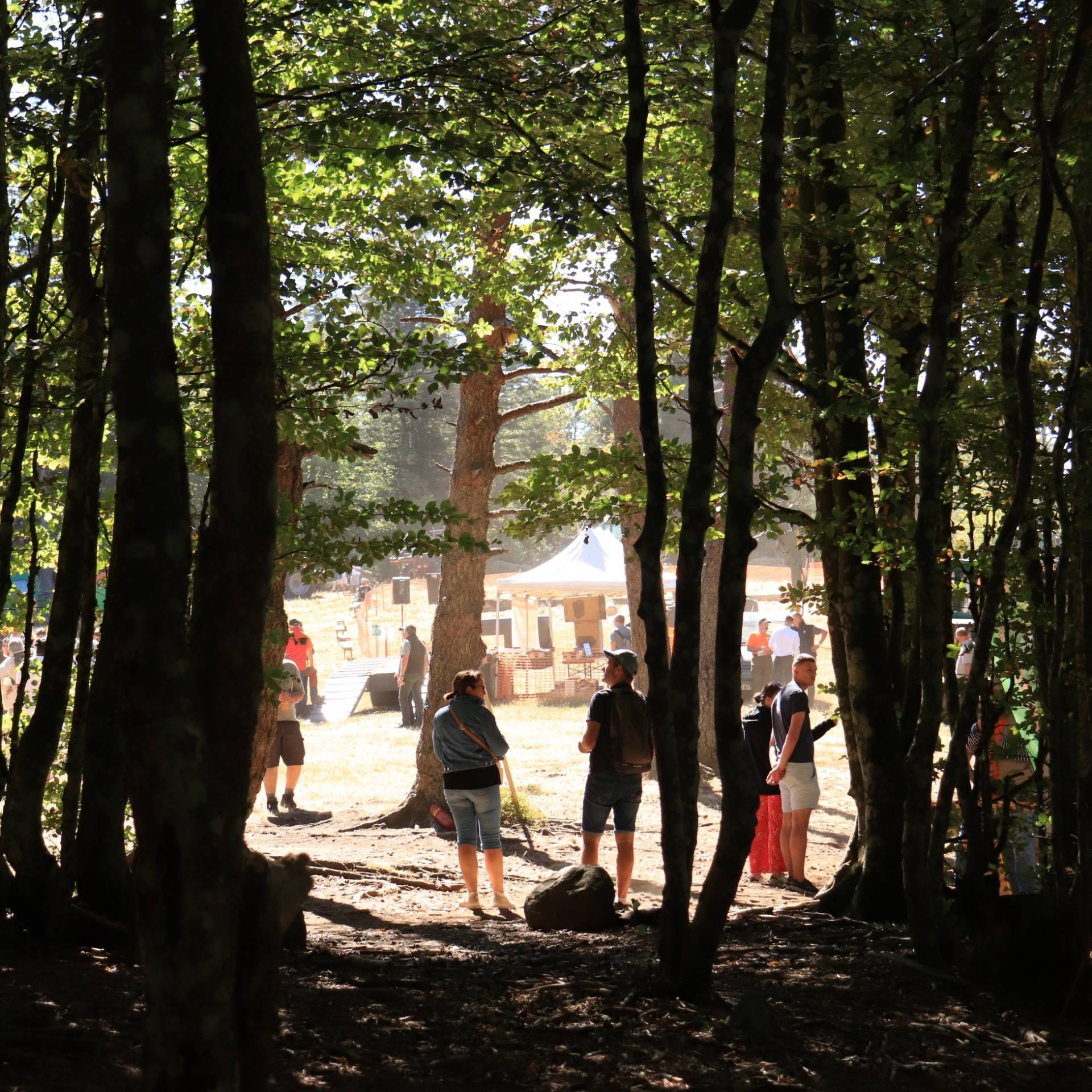 Fête de la forêt et du bois img 9908