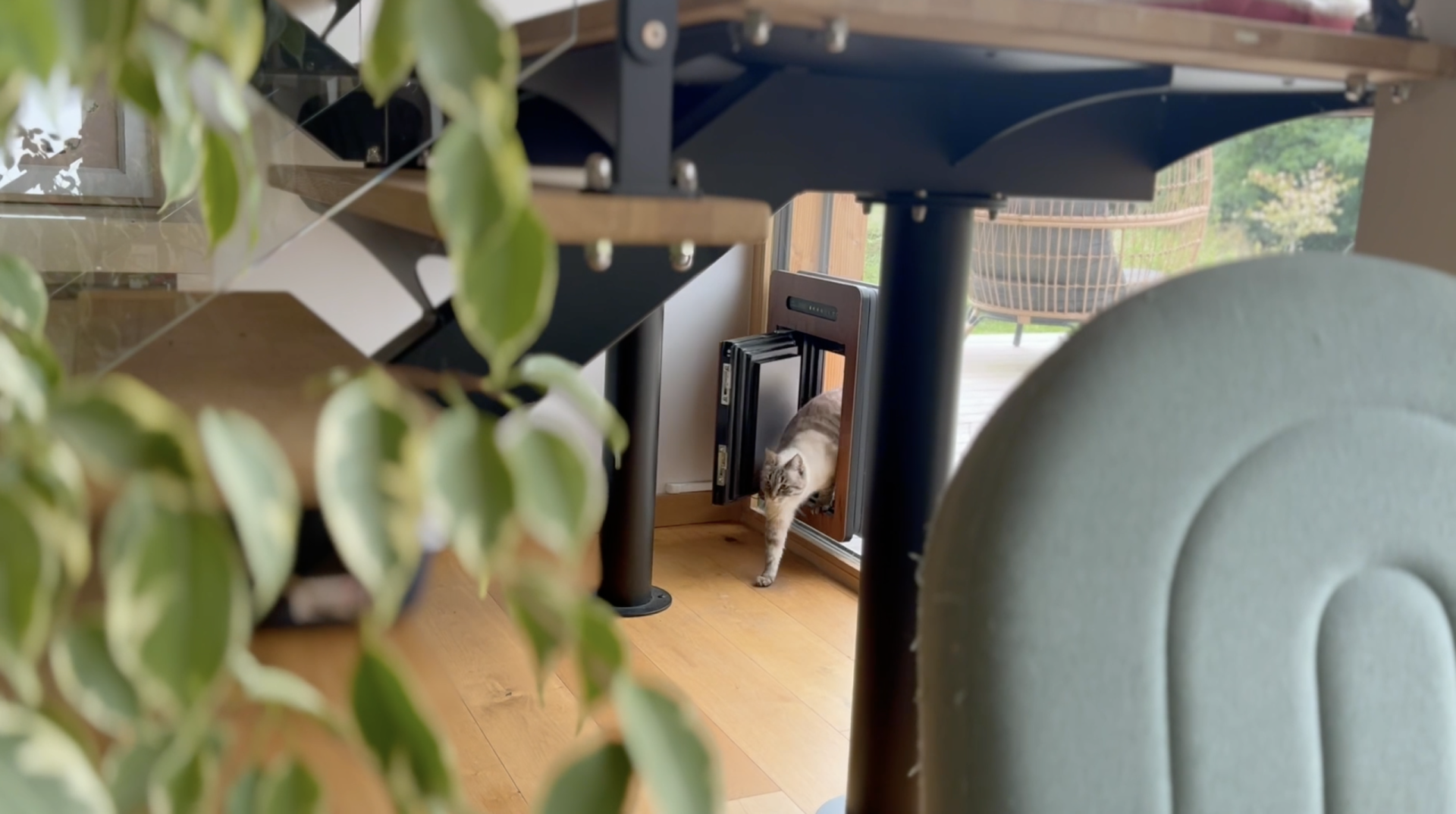 maisonmatous p7